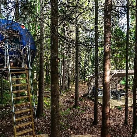 Hanging Treehouse * Skjelfoss