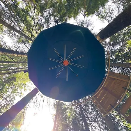 Hanging Treehouse