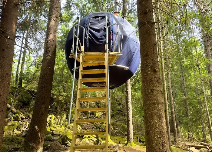 Hanging Treehouse