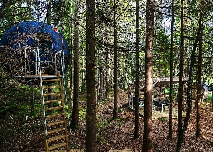 Hanging Treehouse * Skjelfoss