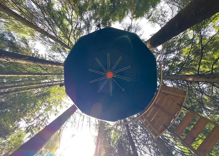 Hanging Treehouse
