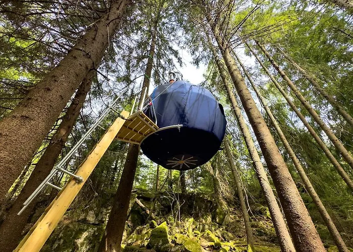 Lägenhet Hanging Treehouse
