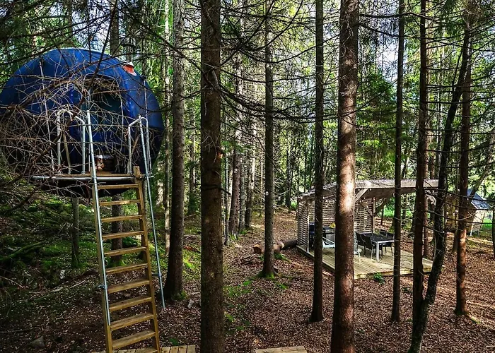 Hanging Treehouse *